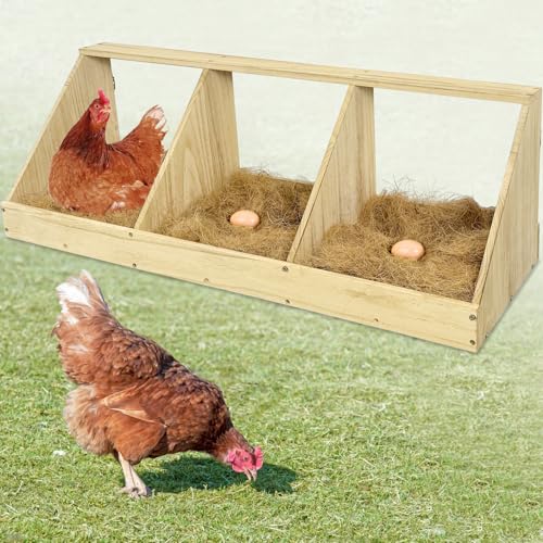 Hühner Nistkästen, 3 Fach Holz Hühner Legekästen, Nistkästen für Hühner, Hühner, Enten, Geflügel Nistkasten zum Eierlegen (Enthält 3 Fake Eggs, 3 Nest Box Pads) von Nalwort