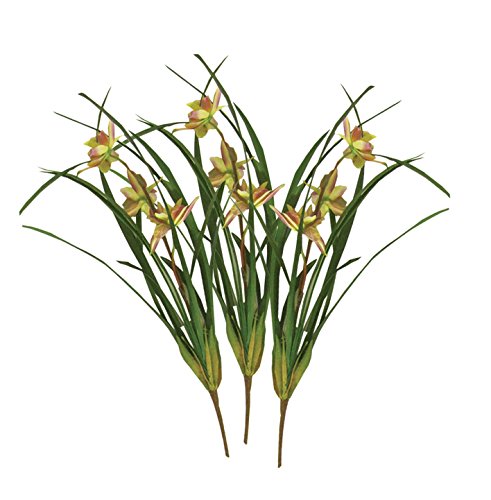 Namiba Terra 6902 Terrarienpflanzen Set Orchid, Spitzblättrige Orchidee mit 3 orangefarbenen Blüten, 3 Stück, 62 cm von Namiba Terra