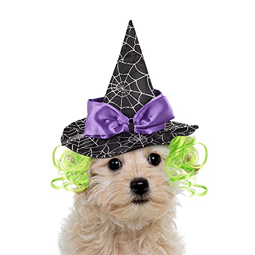 NAMSAN Haustier Halloween Kostüm Hunde Hexenhut Lila Katzen Hut Halloween Kopfbedeckung für Katzen/Hunde/Kaninchen von Namsan