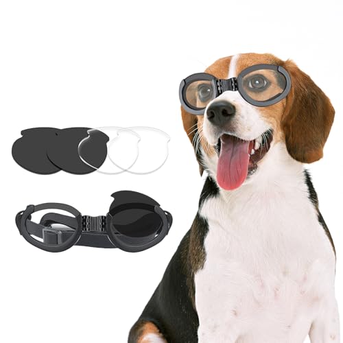 NAMSAN Hundebrille Hunde Motorradbrille Hundesonnenbrille mit Austauschbaren Gläsern (Schwarz +Klar) Augenschutzbrille für Hunde von Namsan