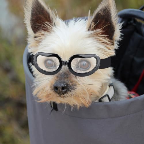 NAMSAN Hundebrille für kleine Rassen, UV-Linse, für kleine Hunde, Augenschutz, Beschlagschutz, schneefest, winddicht, verstellbar, klassisch, transparent von Namsan