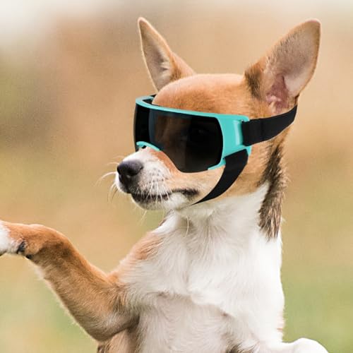 Namsan Hundesonnenbrille für kleine Rassen, UV-Schutz, Anti-Beschlag-Hundebrille für kleine Hunde, Augenschutz für den Sommer, Schnee, Schneebrille, einfaches An- und Ausziehen, niedliches Blau von Namsan