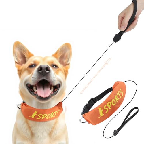 NAMSAN Hundehalsband und Leine, einziehbare Hundeleine für große Hunde, All-in-One-Hundeleine mit Halsband, verstellbares Hundehalsband mit integrierter Schnur für mittelgroße bis große Hunde, Orange von Namsan