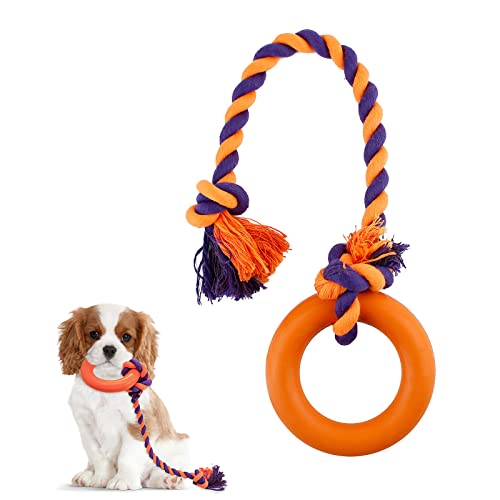 Namsan Hundespielzeug Hunde Puller Ring für Zerrspielen Hunde Kauspielzeug Robuster Natur Gummiring mit Seil Outdoor-trainingsspielzeug für Werfen/Fangen/Greifen/Fliegendes, Orange-S von Namsan