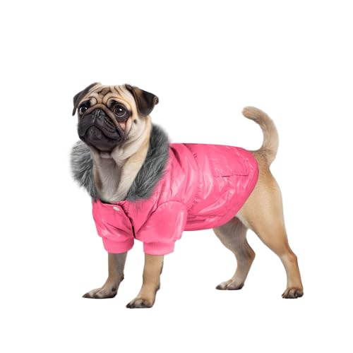 NAMSAN Kleine Hundemäntel, warme Welpenkleidung mit Kappen, winddichter Hunde-Kapuzenpullover für kleine, mittelgroße Hunde, Männer/Mädchen, kaltes Wetter, Rosa, Größe L von Namsan