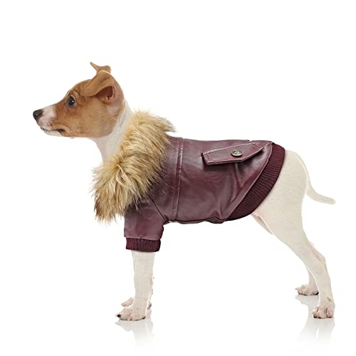 Namsan Hundemantel Hunde Jacken für Winter Warm Leder Hunde Winterjacke Wasserdicht Hundemantel für Kleine Hunde-M von Namsan