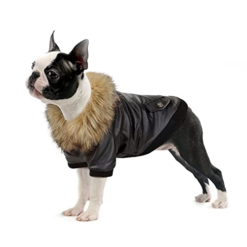 Namsan Hundemantel Hunde Jacken für Winter Warm Leder Hunde Winterjacke Wasserdicht Hundemantel für Kleine Hunde-M von Namsan