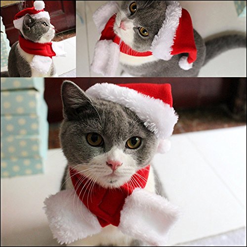 PETLESO Katze Weihnachtsmütze und Weihnachten Roter Schal Weihnachtskostüm für Katzen Katzenkostüm Weihnachten Weihnachtsoutfit für Katzen/Kleine Hunde von PETLESO