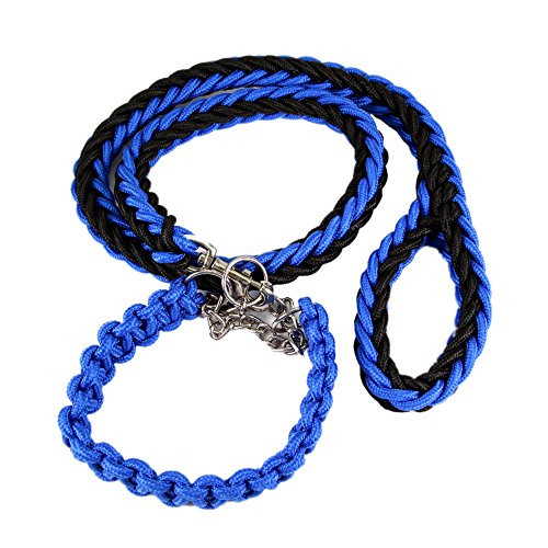 Namzi ColorPet Martingale Retrieverleine Halsband Bär Obst Hundeleine für mittelgroße und große Hunde, Größe M, Schwarz / Blau von Namzi