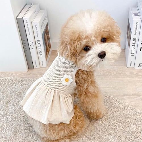 Namzi Süßes Welpen-Hundekleid, niedliches Prinzessinnenkleid, Katzenkleid, Hunderock für kleine Mädchen (A69, S) von Namzi