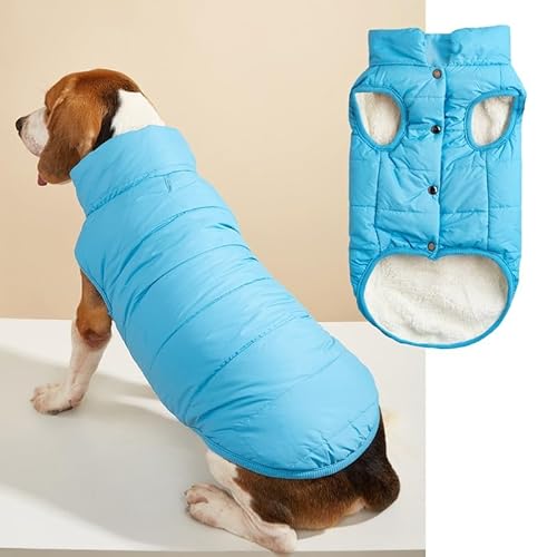 Namzi Winddichte Hunde-Winterjacke, Hundemantel, warme Hundeweste, kaltes Wetter, Haustierbekleidung mit 2 Schichten mit Fleece gefüttert für kleine, mittelgroße und große Hunde (Größe S, Blau) von Namzi