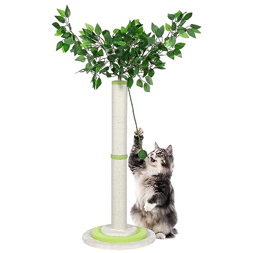 Katzenkratzbaum, Katzenkratzbaum Kätzchen Kratzbaum mit baumelnden Ball und Sisalseil für Indoor Outdoor Kätzchen und Katzen von Nandae