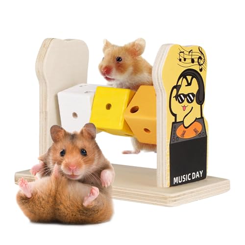 Nankoyal Hamsterspielzeug - Hamsterkäfig Zubehör - Hamster Interaktives Anreicherung Spielzeug Pädagogisches Hamster Zubehör für Käfig von Nankoyal