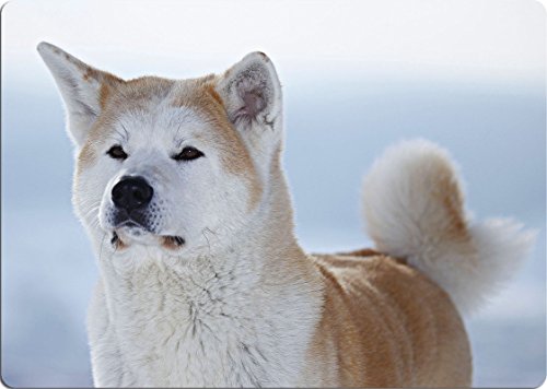 +++ AKITA INU - SCHNEIDEBRETT Dekoteller Glasbrett Dekoglas - AKI 09 von Nanyuk