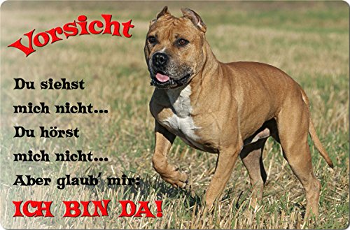 Nanyuk +++ American Staffordshire Terrier - Metall Warnschild Schild Hundeschild Sign - AST 03 T2 von Nanyuk