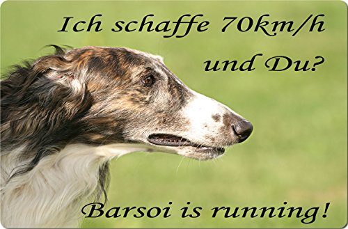 +++ BARSOI Barzaia Borzoi - Metall WARNSCHILD Schild Hundeschild Sign - BRS 01 T14 von Nanyuk
