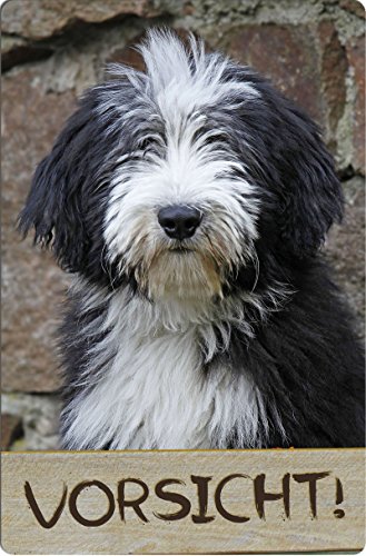 Nanyuk +++ Bearded Collie - Metall Warnschild Schild Hundeschild Sign - BDC 08 T46 von Nanyuk