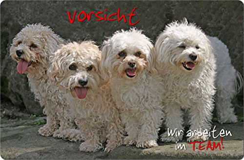 Nanyuk +++ BOLONKA ZWETNA - Metall Warnschild Schild Hundeschild Sign - BOZ 02 T16 von Nanyuk