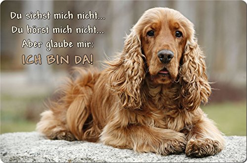 Nanyuk +++ Cocker Spaniel - Metall Warnschild Schild Hundeschild Sign - CKS 03 T2 von Nanyuk