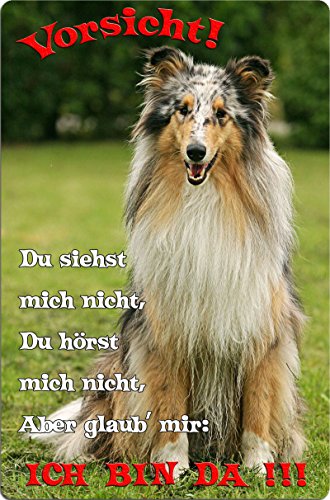 Nanyuk +++ Collie - Metall Warnschild Schild Hundeschild Sign - CLL 05 T2 von Nanyuk