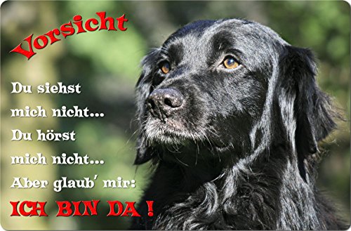 +++ FLAT COATED Retriever - Metall WARNSCHILD Schild Hundeschild Sign - FCR 01 T2 von Nanyuk