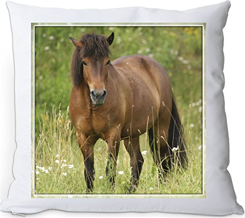 Nanyuk +++ ISLÄNDER Islandpferd Pferd - Kuschelkissen/Kissen | Pillow/Dekokissen - ISI 10 von Nanyuk