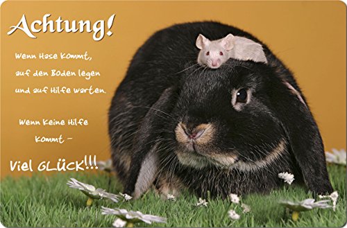 Nanyuk +++ Kaninchen Hase Zwergkaninchen - Metall Warnschild Schild TÜRSCHILD Sign - KAN 03 von Nanyuk