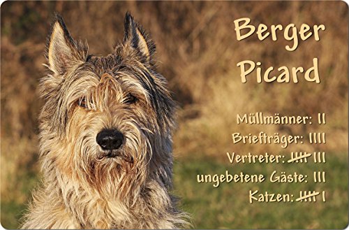 Nanyuk +++ Berger Picard De Picardie - Metall Warnschild Schild Hundeschild Sign - PIC 02 T4 von Nanyuk