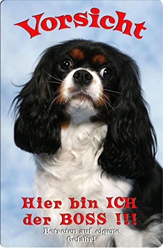 Nanyuk +++ Cavalier King Charles Spaniel - Metall Warnschild Schild Hundeschild Sign - CKC 01 T7 von Nanyuk