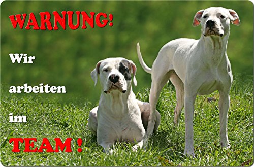 Nanyuk +++ DOGO Argentino - Metall Warnschild Schild Hundeschild Sign - DAO 01 T16 von Nanyuk