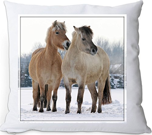 Nanyuk +++ Fjord Fjordpferd Norweger Pferd - Kuschelkissen/Kissen | Pillow/Dekokissen - FJO 35 von Nanyuk