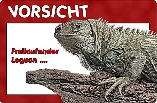 Nanyuk +++ GRÜNER LEGUAN Reptil - Metall Warnschild Schild TÜRSCHILD Sign - REP 02 von Nanyuk