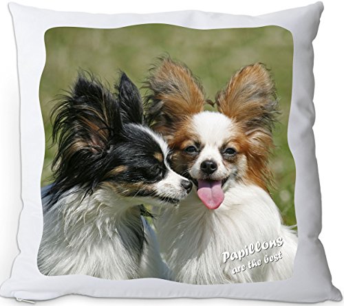 Nanyuk +++ Papillon Kontinentaler Zwergspaniel - Kuschelkissen/Kissen | Pillow/Kussen - Pap 03 von Nanyuk