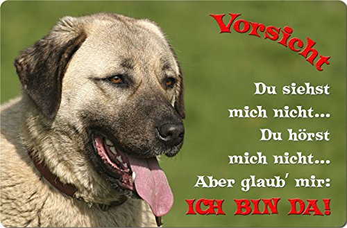 Nanyuk +++ Sivas Kangal - Metall Warnschild Schild Hundeschild Sign - SVK 03 T2 von Nanyuk