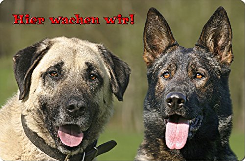 Nanyuk +++ Sivas Kangal & Schäferhund - Metall Warnschild Schild Hundeschild Sign - SVK 14 T15 von Nanyuk