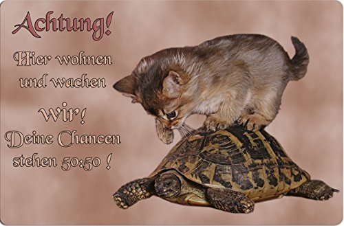 Nanyuk +++ Somali Katze & SCHILDKRÖTE - Metall Warnschild Schild TÜRSCHILD Sign - TIF 01 von Nanyuk