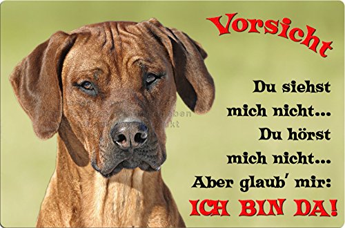 +++ RHODESIAN RIDGEBACK - Metall WARNSCHILD Schild Hundeschild Sign - RRB 40 T2 von Nanyuk