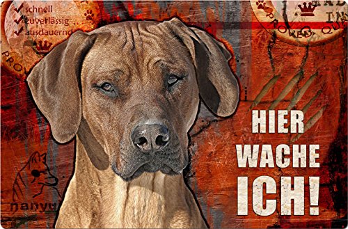 Nanyuk +++ Rhodesian Ridgeback - Metall Warnschild Schild Hundeschild Sign - RRB 41 T15 von Nanyuk