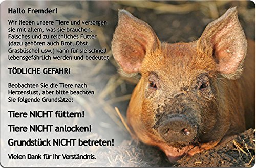 +++ SCHWEIN - METALL WARNSCHILD SCHILD TÜRSCHILD SIGN - PIG 02 von Nanyuk