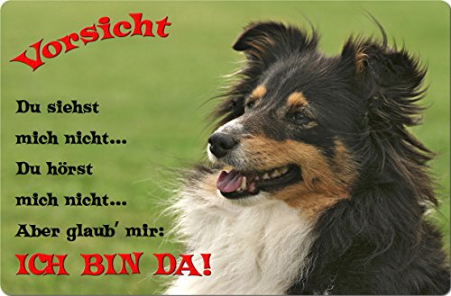 Nanyuk +++ Sheltie Shetland Sheepdog - Metall Warnschild Schild Hundeschild Sign - SHT 01 T2 von Nanyuk