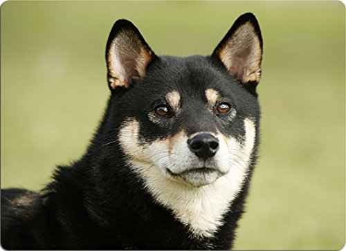 +++ SHIBA INU - SCHNEIDEBRETT Dekoteller Glasbrett Dekoglas - SBA 01 von Nanyuk