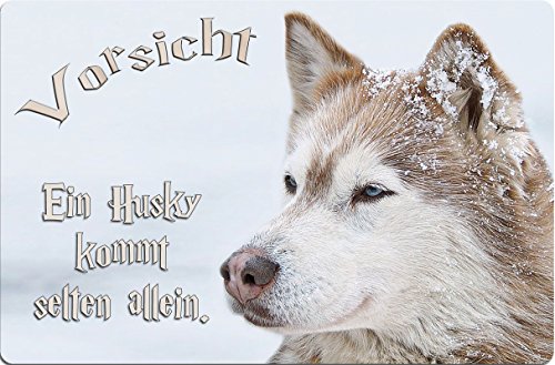 +++ SIBERIAN Sibirien HUSKY Schlittenhund - Metall WARNSCHILD Schild Hundeschild Sign - SBH 08 T47 von Nanyuk