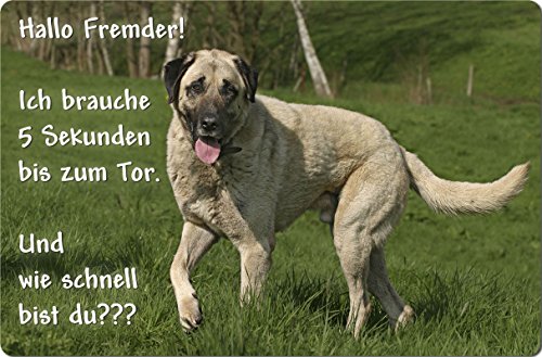 Nanyuk +++ Sivas Kangal - Metall Warnschild Schild Hundeschild Sign - SVK 01 T14 von Nanyuk