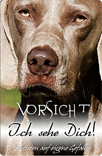 Nanyuk +++ Weimaraner - Metall Warnschild Schild Hundeschild Sign - WEI 06 T5 von Nanyuk