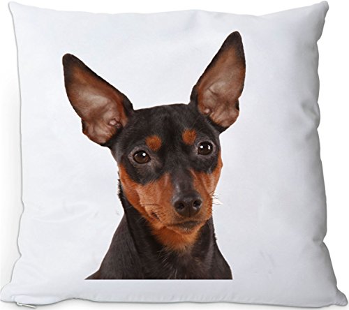 +++ ZWERGPINSCHER - Kuschelkissen/KISSEN | PILLOW/Dekokissen - ZWP 29 von Nanyuk