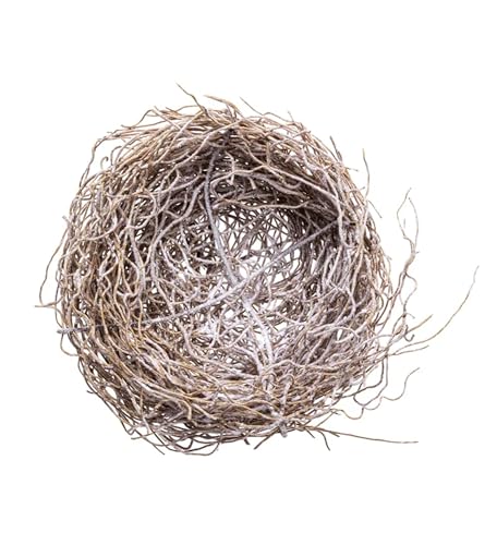 Napco Miniatur-Vogelnest, 12,7 cm, braune Engelsrebe für Ostern, Weihnachten oder Frühlingsdekoration von Napco Imports