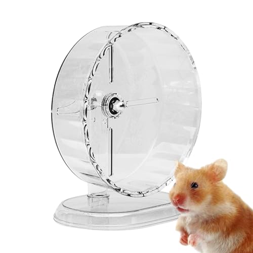 Hamsterrad, ruhig – großes Hamsterrad, Frettchenrad | Einsiedler-Krabbenrad, Chinchilla-Käfig, leiser Lauftrainer, für Gerbil Haustier, Einsiedler, Syrischer Einsiedler, Heder, Glieur Hamsterrad, ruhig – großes Hamsterrad, Frettchenrad | Einsiedler-Krabbenrad, Chinchilla-Käfig, leiser Lauftrainer, für Gerbil Haustier, Einsiedler, Syrischer Einsiedler, Heder, Glieur von Naqqios