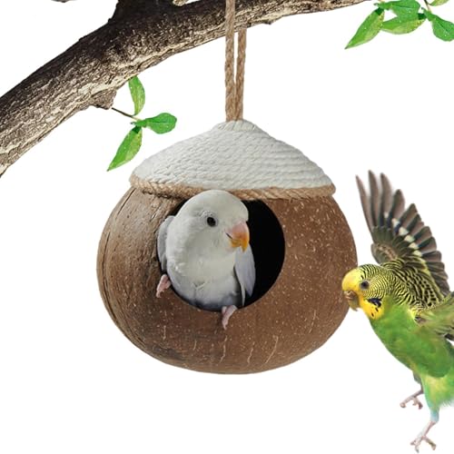 Kokosnüsse Vogelhaus, Vogelkokosnüsse verstecken | Natural Coconuts Shell Bird Hut mit Leiter | Hummingbird Hamsters Haustierkäfiglebensräume für Terrasse, Garten von Naqqios