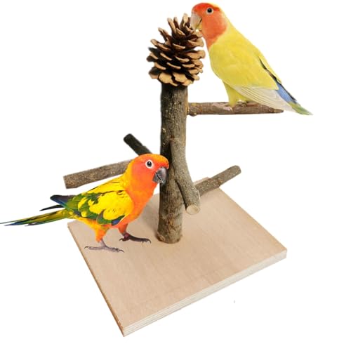 Vogelständer für Papageien – Kakadu-Laufstall aus Holz, Papageien-Sitzstangen-Tischständer, Vogel-Spielständer, Papageien-Tischstange, Indoor-Laufstall von Naqqios