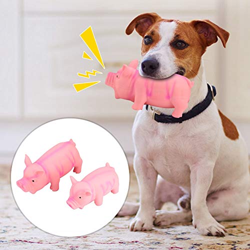 Hundezahn-Reinigungsspielzeug, 2PCS Schweinemodell Hundebeißspielzeug Latex-Hundespielzeug, mit Audiogerät Tierhandlung für Katzenhaushalt Welpenwelpe von Naroote